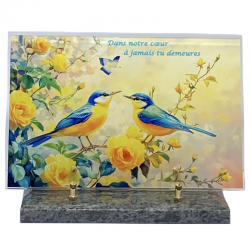 plaque altuglass numérisée