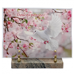 plaque altuglass numérisée