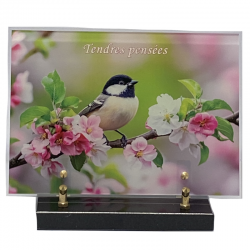 Plaque altuglass grossiste funéraire