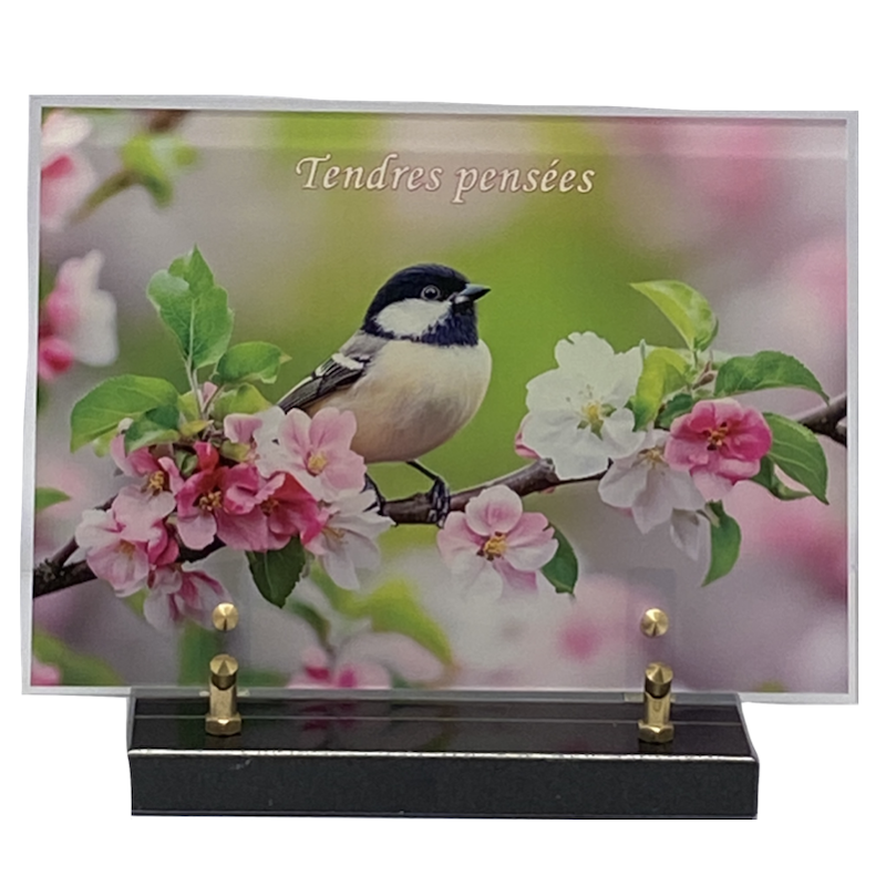 Plaque altuglass grossiste funéraire